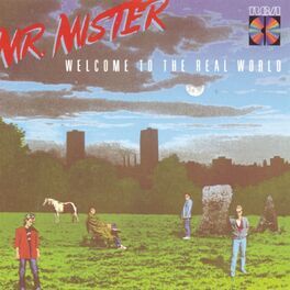 Album cover of Welcome To The Real World
