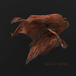 Album cover of Blood Vessel