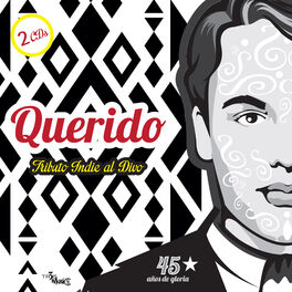 Album cover of Querido Tributo Indie al Divo