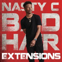 Album cover of Bad Hair Extensions