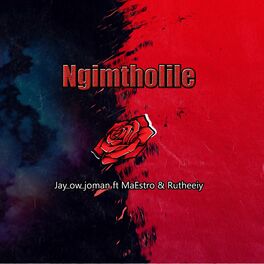 Album cover of Ngimtholile