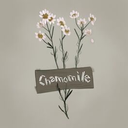Album cover of Chamomile (feat. Kuranes)