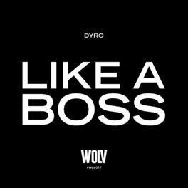 Album cover of Like A Boss
