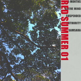 Album cover of RED SUMMER 01