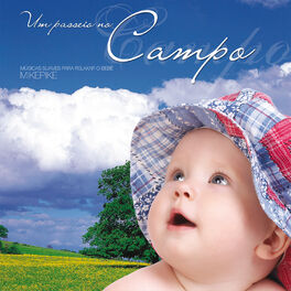 Album cover of Um Passeio No Campo