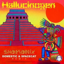 Album cover of Shamanix (Domestic & Spacecat Remix)
