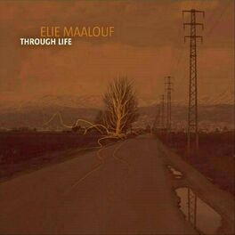 Album cover of Through Life
