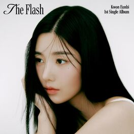 Album cover of The Flash