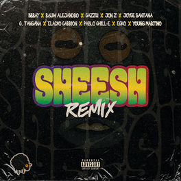 Album cover of Sheesh (Remix)