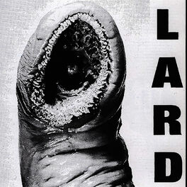 Album cover of Power Of Lard