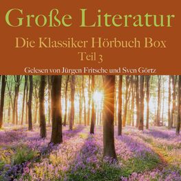 Album cover of Große Literatur: Die Klassiker Hörbuch Box (Teil 3)