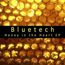 Album cover of Honey in the Heart EP