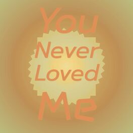 Album cover of You Never Loved Me