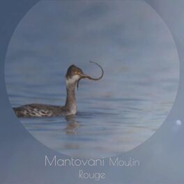 Album cover of Mantovani Moulin Rouge