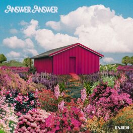 Album cover of Answer Answer