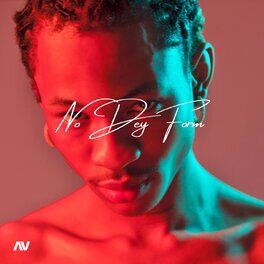 Album cover of No Dey Form