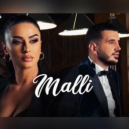 Album cover of Malli