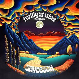 Album cover of twilight nine the remixes