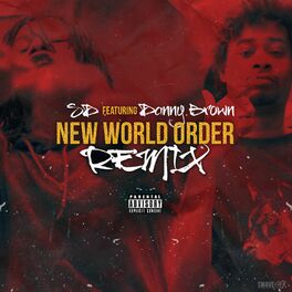 Album cover of New World Order (Remix)