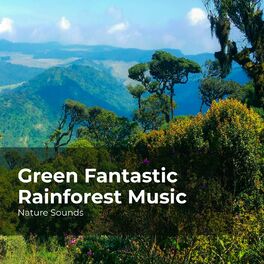 Album cover of Green Fantastic Rainforest Music