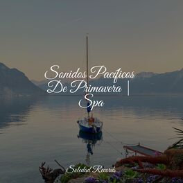 Album cover of Sonidos Pacíficos De Primavera | Spa