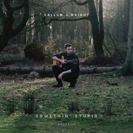 Album cover of Somethin' Stupid (Acoustic)