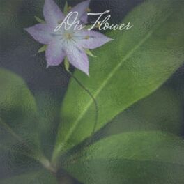 Album cover of Dis Flower