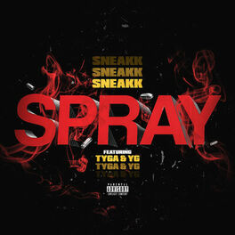Album cover of Spray