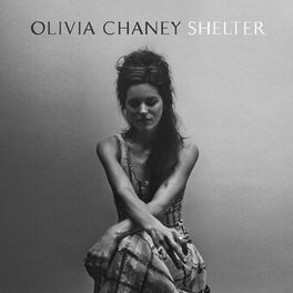 Album cover of Shelter