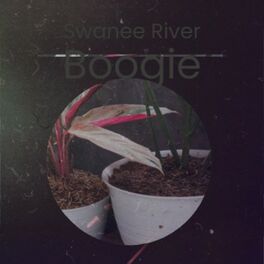 Album cover of Swanee River Boogie