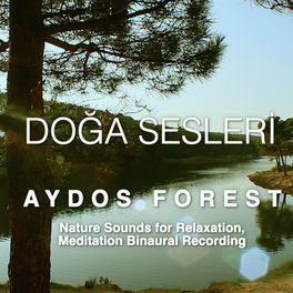 Doga Sesleri Aydos Orman Inda Bahar Kuslari Listen With Lyrics Deezer