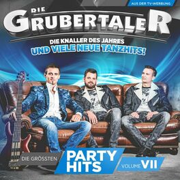 Album cover of Die größten Partyhits, Vol. VII