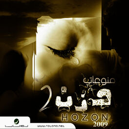 Album cover of Hozon 2