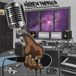 Album cover of Hidden Formula (feat. Mvula Drae & Dj Fingaz)