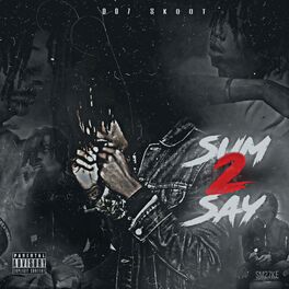 Album cover of Sum 2 Say