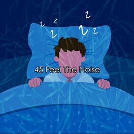 Album cover of 45 Feel The Noise