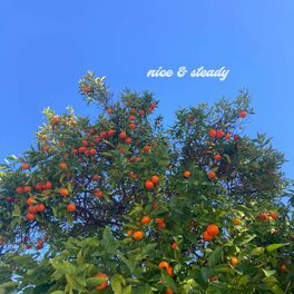 Album cover of Nice & Steady EP