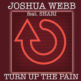Album cover of Turn Up The Pain