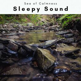 Album cover of A Sleepy Sound