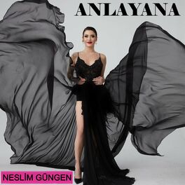 Album cover of Anlayana