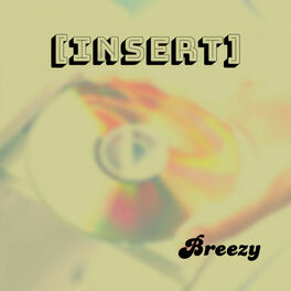 Album cover of Insert