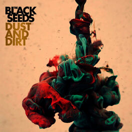 Album cover of Dust And Dirt