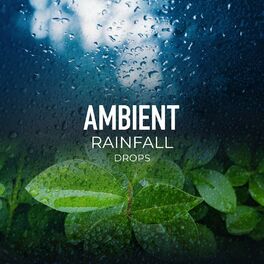 Album cover of Ambient Rainfall Drops
