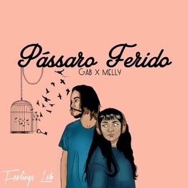Album cover of Pássaro Ferido