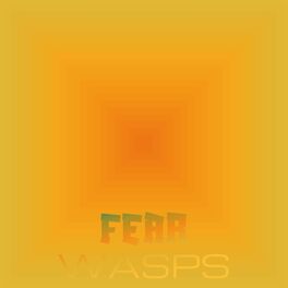 Album cover of Fear Wasps