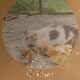 Album cover of Be My Kitten Little Chicken