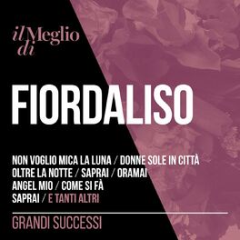 Album cover of Il Meglio Di Fiordaliso: Grandi Successi