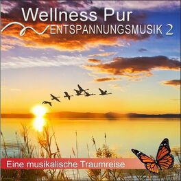 Album cover of Entspannungsmusik 2, eine musikalische Traumreise
