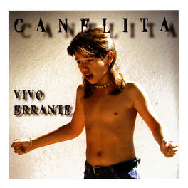 Album cover of Vivo Errante