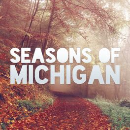 Album cover of Seasons of Michigan